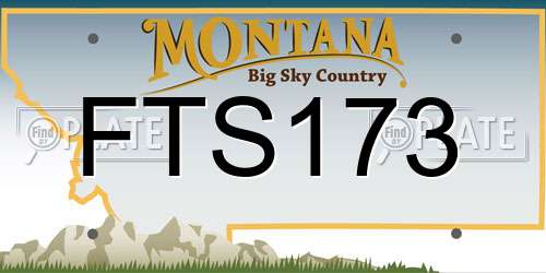 FTS173 Montana License Plate