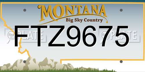 FTZ9675 Montana License Plate