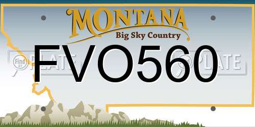 FVO560 Montana License Plate