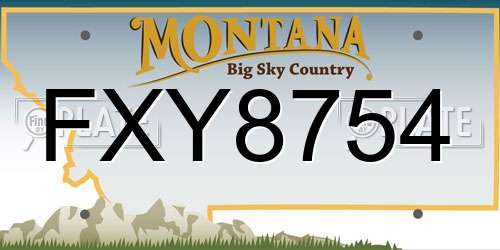 FXY8754 Montana License Plate