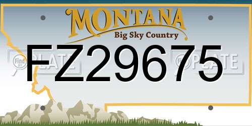 FZ29675 Montana License Plate
