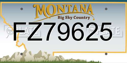 FZ79625 Montana License Plate