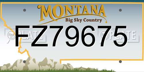 FZ79675 Montana License Plate