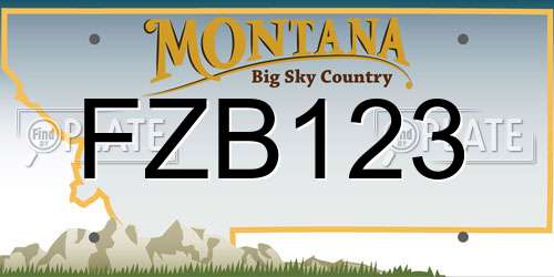 FZB123 Montana License Plate