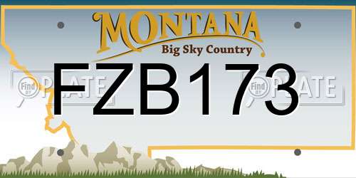 FZB173 Montana License Plate