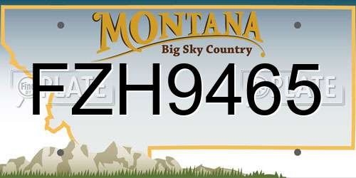 FZH9465 Montana License Plate