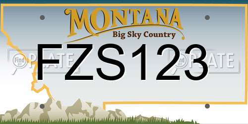 FZS123 Montana License Plate