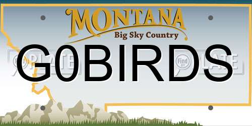 G0BIRDS Montana License Plate
