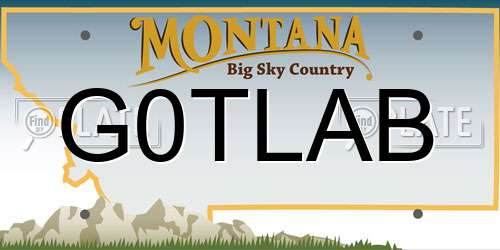 G0TLAB Montana License Plate