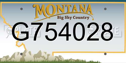 G754028 Montana License Plate