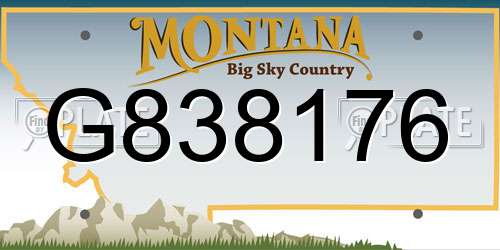 G838176 Montana License Plate