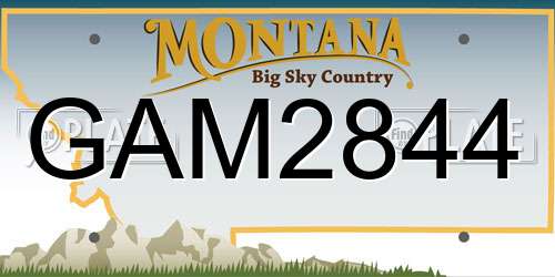 GAM2844 Montana License Plate