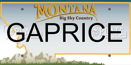 GAPRICE Montana License Plate