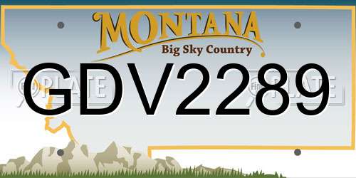 GDV2289 Montana License Plate