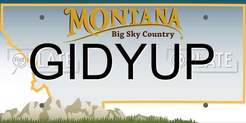 GIDYUP Montana License Plate