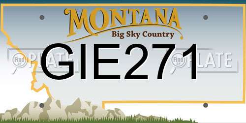 GIE271 Montana License Plate