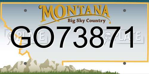 GO73871 Montana License Plate