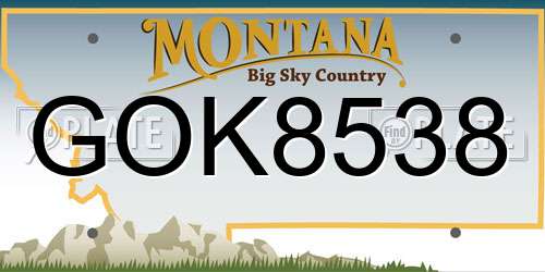 GOK8538 Montana License Plate