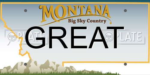 GREAT Montana License Plate