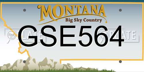 GSE564 Montana License Plate