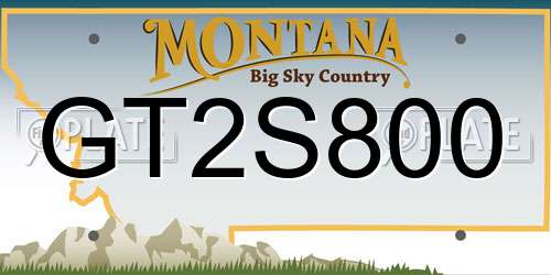 GT2S800 Montana License Plate