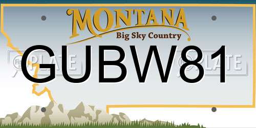 GUBW81 Montana License Plate