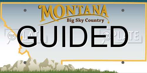GUIDED Montana License Plate