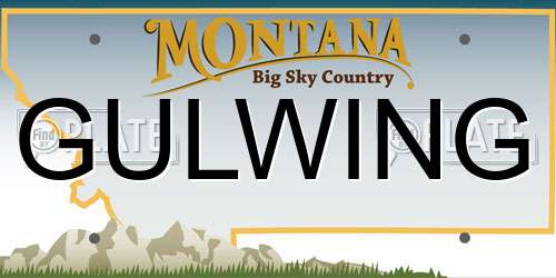 GULWING Montana License Plate