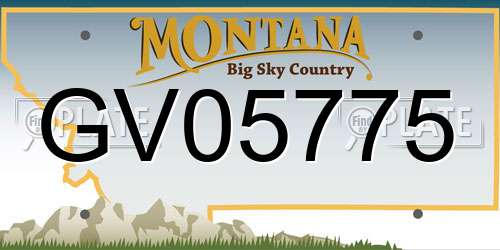 GV05775 Montana License Plate