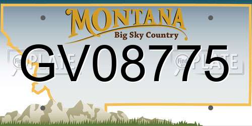 GV08775 Montana License Plate