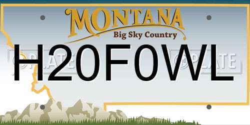 H20F0WL Montana License Plate