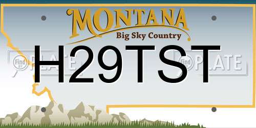 H29TST Montana License Plate