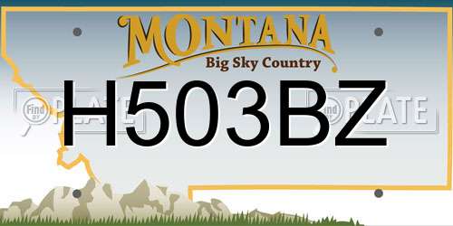 H503BZ Montana License Plate