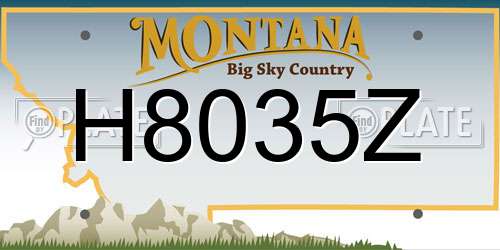 H8035Z Montana License Plate