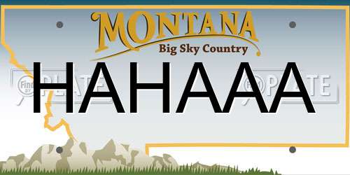 HAHAAA Montana License Plate