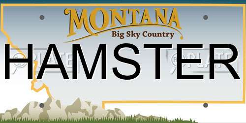HAMSTER Montana License Plate
