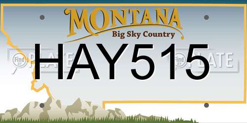 HAY515 Montana License Plate