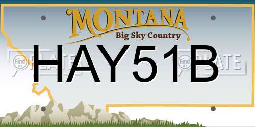 HAY51B Montana License Plate