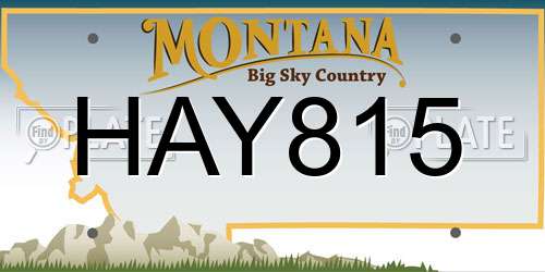 HAY815 Montana License Plate