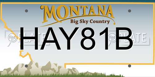 HAY81B Montana License Plate