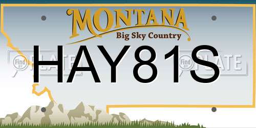 HAY81S Montana License Plate