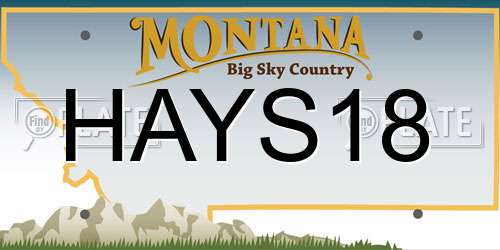 HAYS18 Montana License Plate