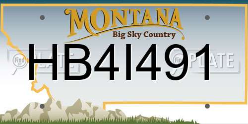 HB4I491 Montana License Plate