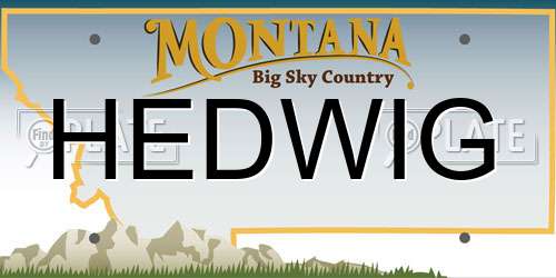 HEDWIG Montana License Plate