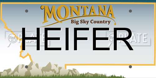 HEIFER Montana License Plate