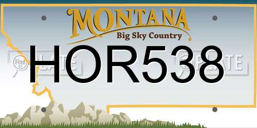 HOR538 Montana License Plate