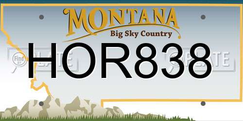 HOR838 Montana License Plate