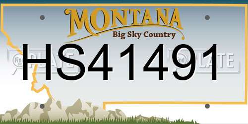 HS41491 Montana License Plate
