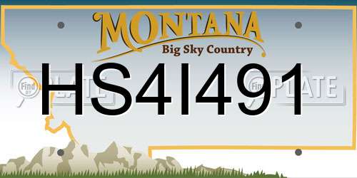 HS4I491 Montana License Plate
