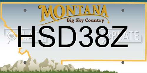 HSD38Z Montana License Plate